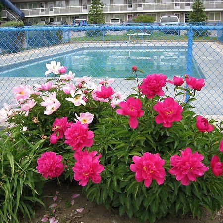 Grand Motel Toronto Eksteriør bilde