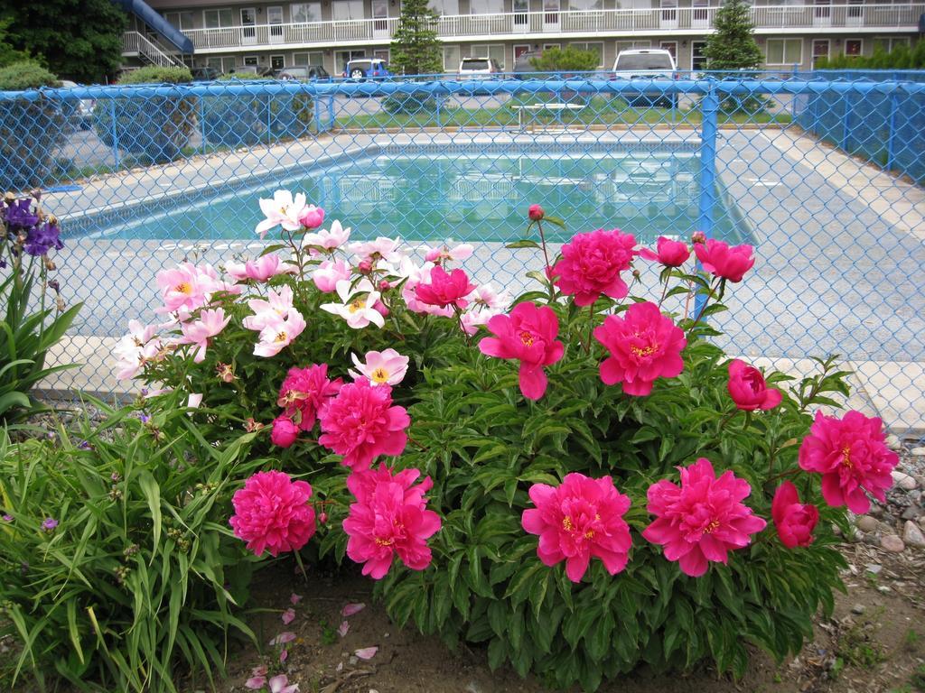 Grand Motel Toronto Eksteriør bilde