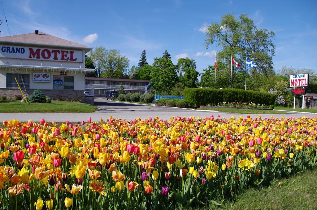 Grand Motel Toronto Eksteriør bilde